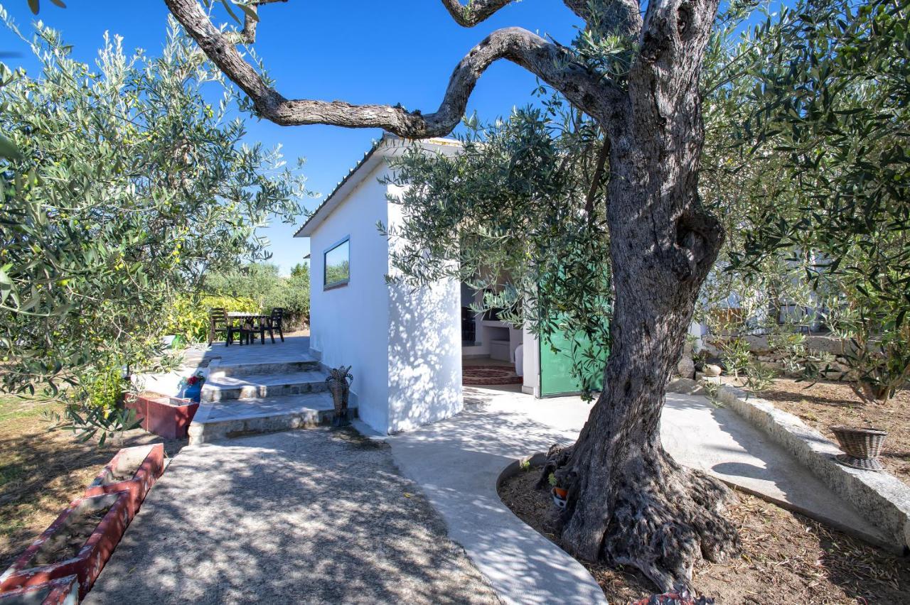 Casa Rina Villa Sassari Esterno foto